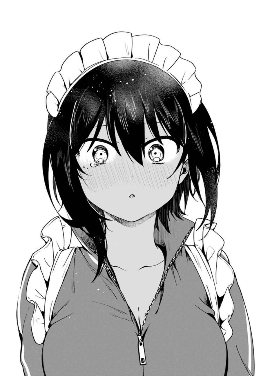 My Recently Hired Maid Is Suspicious (Serialization)